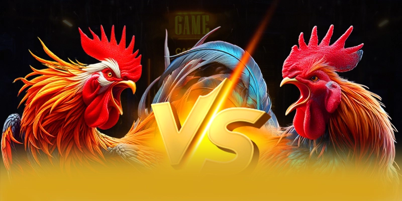 Hệ thống chăm sóc khách hàng tại 8XBET